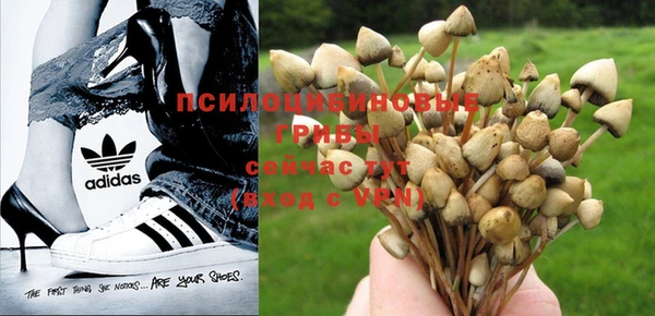 тгк Балабаново